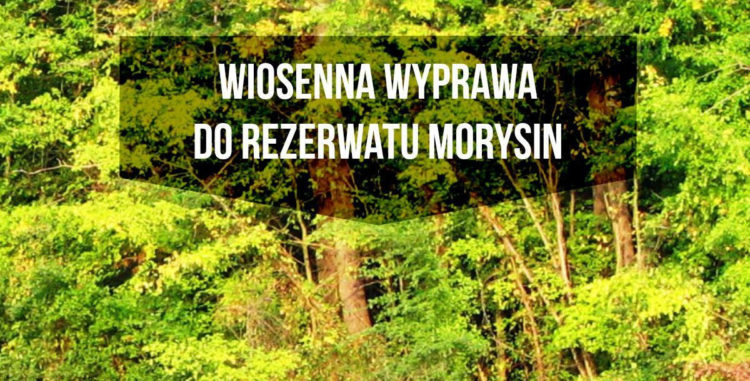 WIOSENNA WYPRAWA do REZERWATU MORYSIN warsztaty dla rodzin z dziećmi