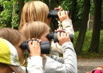 MUZEUM PAŁACU KRÓLA JANA III w WILANOWIE wydarzenia przyrodnicze | lipiec 2017 r.