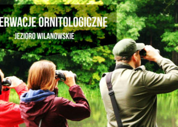 OBSERWACJE ORNITOLOGICZNE nad Jeziorem Wilanowskim