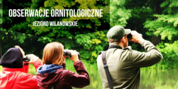 OBSERWACJE ORNITOLOGICZNE nad Jeziorem Wilanowskim