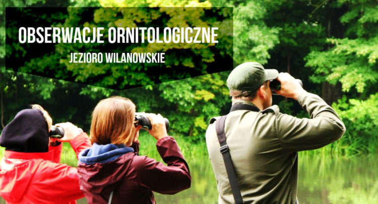 OBSERWACJE ORNITOLOGICZNE nad Jeziorem Wilanowskim