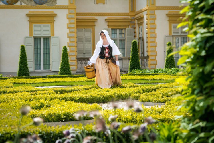 DNI KRÓLA JANA impreza plenerowa w Muzeum Pałacu w Wilanowie