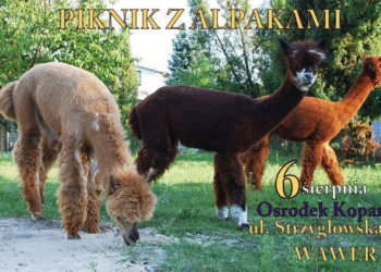 PIKNIK Z ALPAKAMI – WSTĘP WOLNY!
