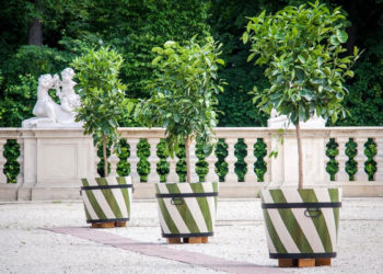 BEZPŁATNE WARSZTATY MUZEUM PAŁACU w WILANOWIE Kultura Dostępna