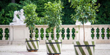 BEZPŁATNE WARSZTATY MUZEUM PAŁACU w WILANOWIE Kultura Dostępna