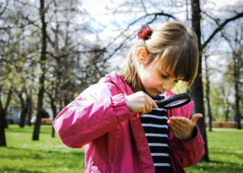 MUZEUM PAŁACU KRÓLA JANA III w WILANOWIE wydarzenia planowane na wrzesień 2017 r.