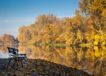 MUZEUM PAŁACU KRÓLA JANA III w WILANOWIE wydarzenia przyrodnicze planowane na październik 2017 r.