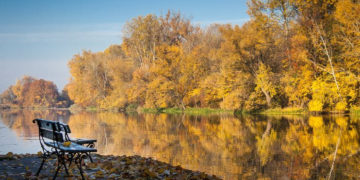 MUZEUM PAŁACU KRÓLA JANA III w WILANOWIE wydarzenia przyrodnicze planowane na październik 2017 r.