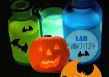 HALLOWEENOWE WARSZTATY CHEMICZNE W BIOCULTURA CAFE