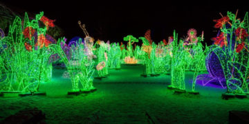 MIKOŁAJKI w KRÓLEWSKIM OGRODZIE ŚWIATŁA