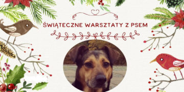 ŚWIĄTECZNE WARSZTATY Z PSEM W BIOCULTURZE