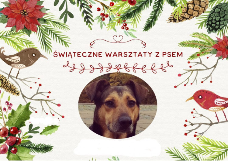 ŚWIĄTECZNE WARSZTATY Z PSEM W BIOCULTURZE