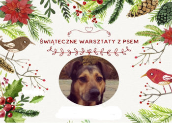 ŚWIĄTECZNE WARSZTATY Z PSEM W BIOCULTURZE