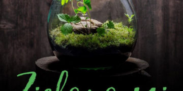 BEZPŁATNE WARSZTATY „ZIELONO MI” W GALERII ŁOMIANKI