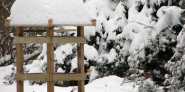 MUZEUM PAŁACU KRÓLA JANA III w WILANOWIE zajęcia przyrodnicze planowane na luty 2018 r.