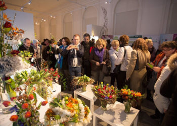 X WYSTAWA TULIPANÓW w WILANOWIE