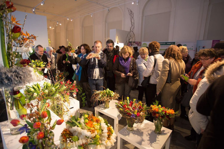 X WYSTAWA TULIPANÓW w WILANOWIE