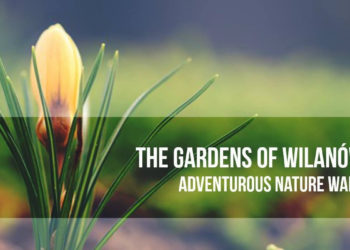 Nature is waking from winter’s sleep | nature walk – spacer w parku Wilanowski prowadzony w języku angielskim