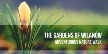 Nature is waking from winter’s sleep | nature walk – spacer w parku Wilanowski prowadzony w języku angielskim