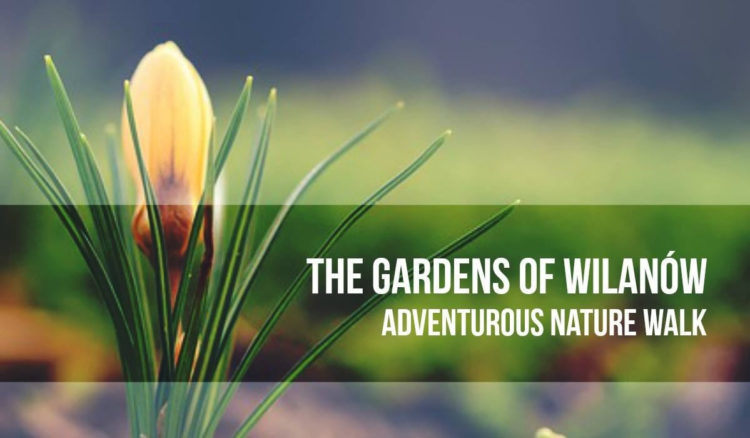 Nature is waking from winter’s sleep | nature walk – spacer w parku Wilanowski prowadzony w języku angielskim