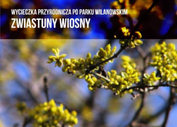 WILANOWSKIE WIDOKÓWKI | wycieczka przyrodnicza