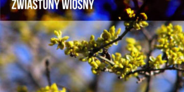 WILANOWSKIE WIDOKÓWKI | wycieczka przyrodnicza