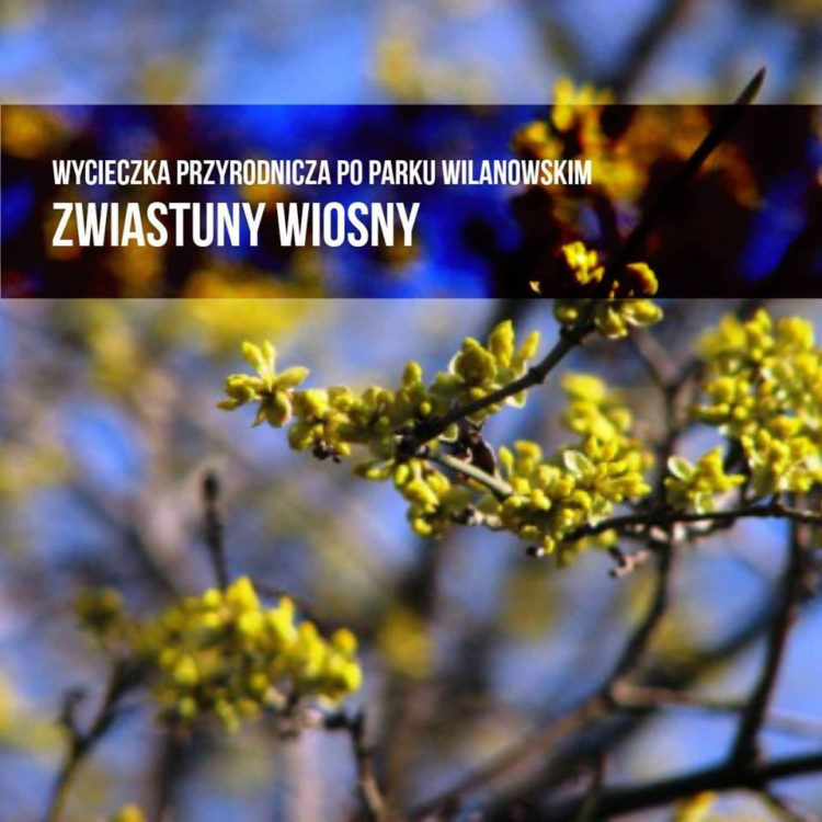 WILANOWSKIE WIDOKÓWKI | wycieczka przyrodnicza