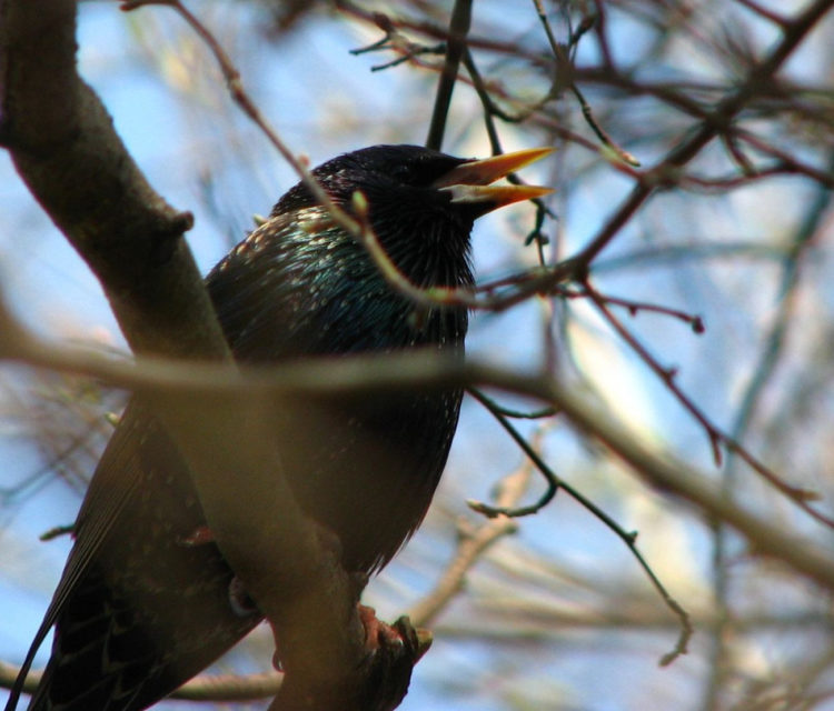 MUZEUM PAŁACU KRÓLA JANA III w WILANOWIE zajęcia dla rodzin | kwiecień 2018 r.