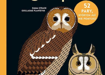 NOWOŚĆ OD WYDAWNICTWA ADAMADA – książka „Sowa czy puszczyk”