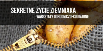 SEKRETNE ŻYCIE ZIEMNIAKA warsztaty ogrodniczo-kulinarne dla rodzin z dziećmi