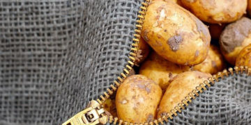 MUZEUM PAŁACU KRÓLA JANA III w WILANOWIE zajęcia przyrodnicze planowane na czerwiec 2018 r.