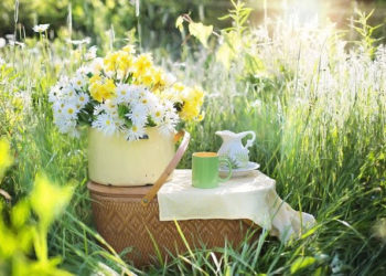 ŚNIADANIE u KRÓLA –  plenerowe wydarzenie kulinarne Muzeum Pałacu Króla Jana III w Wilanowie