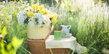 ŚNIADANIE u KRÓLA –  plenerowe wydarzenie kulinarne Muzeum Pałacu Króla Jana III w Wilanowie