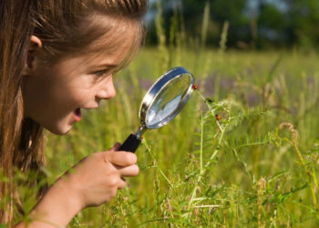Kuchenne laboratorium – wakacje na Bielanach, Targówku, Wawrze