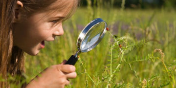 Kuchenne laboratorium – wakacje na Bielanach, Targówku, Wawrze