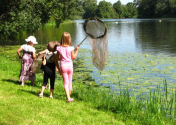 LIPIEC w PARKU WILANOWSKIM warsztaty przyrodnicze