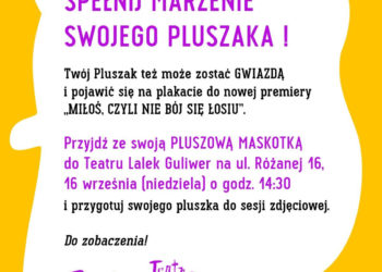 Wszystkie pluszaki na pokład Guliwera!
