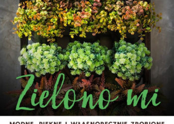 Bezpłatne warsztaty Zielono mi. Stwórz własny wertykalny ogród