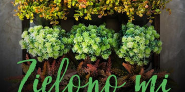 Bezpłatne warsztaty Zielono mi. Stwórz własny wertykalny ogród