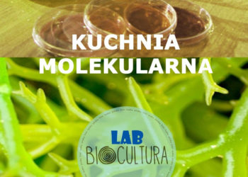 Kuchnia molekularna czyli glony w laboratorium – warsztaty w Bioculturze