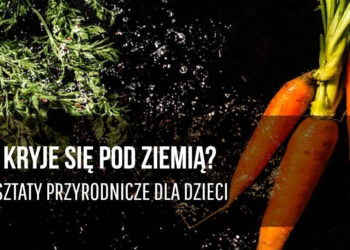 WRZESIEŃ w PARKU WILANOWSKIM warsztaty / spacery / plener malarski