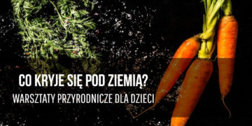 WRZESIEŃ w PARKU WILANOWSKIM warsztaty / spacery / plener malarski