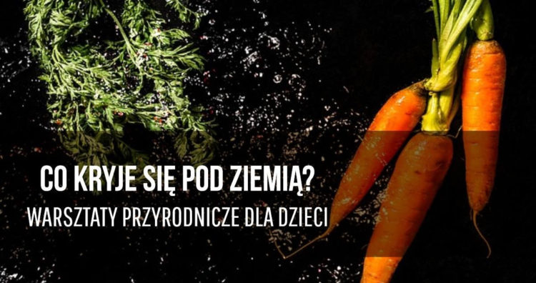 WRZESIEŃ w PARKU WILANOWSKIM warsztaty / spacery / plener malarski