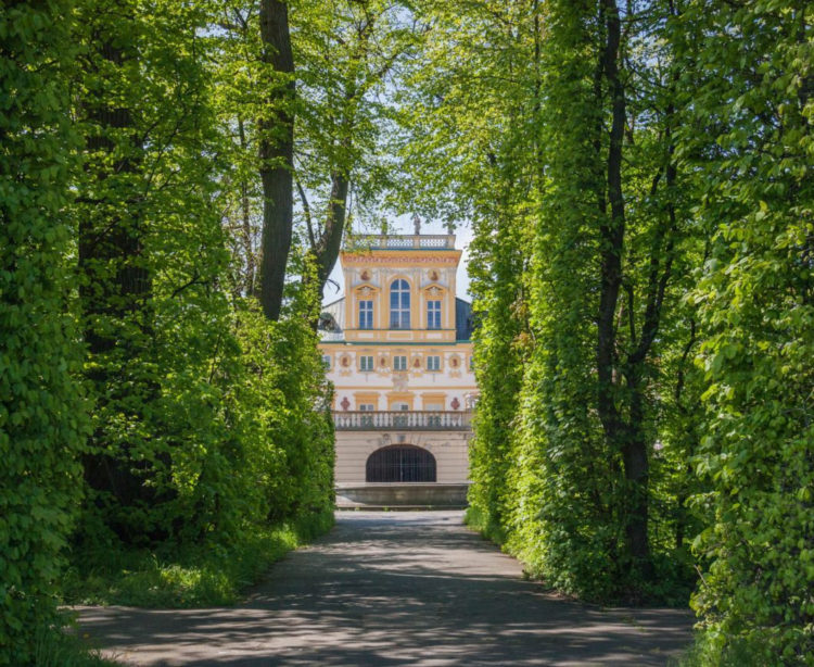 FILMOWY WILANÓW – wrześniowe seanse filmowe w  Oranżerii Muzeum Pałacu w Wilanowie