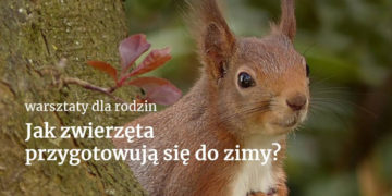 JAK ZWIERZĘTA PRZYGOTOWUJĄ SIĘ DO ZIMY – warsztaty przyrodnicze dla rodzin