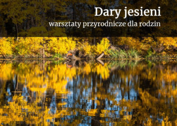 DARY JESIENI – warsztaty przyrodnicze dla rodzin