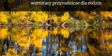 DARY JESIENI – warsztaty przyrodnicze dla rodzin