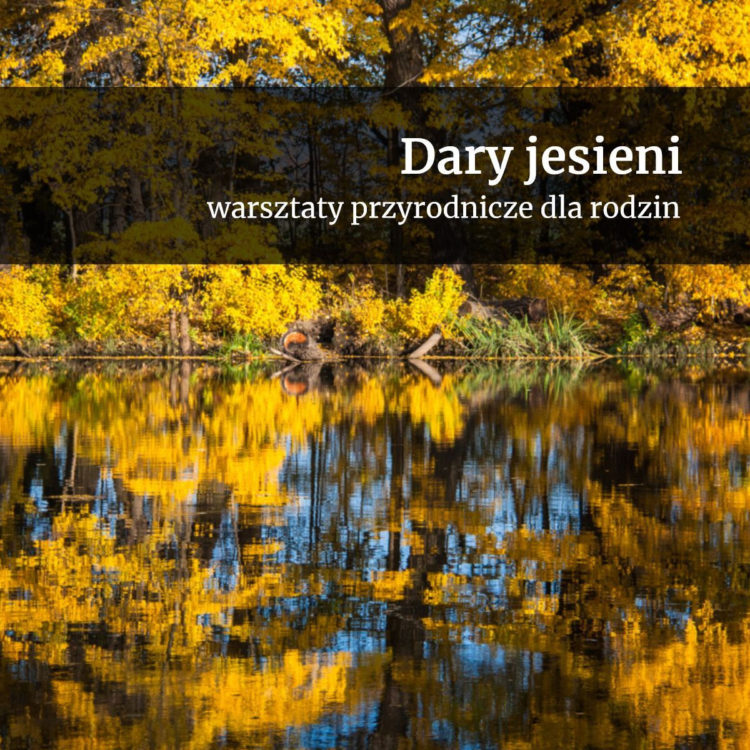 DARY JESIENI – warsztaty przyrodnicze dla rodzin