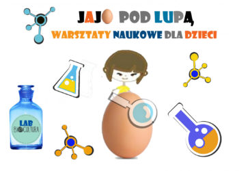 Jajo pod lupą