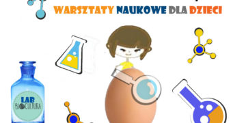 Jajo pod lupą